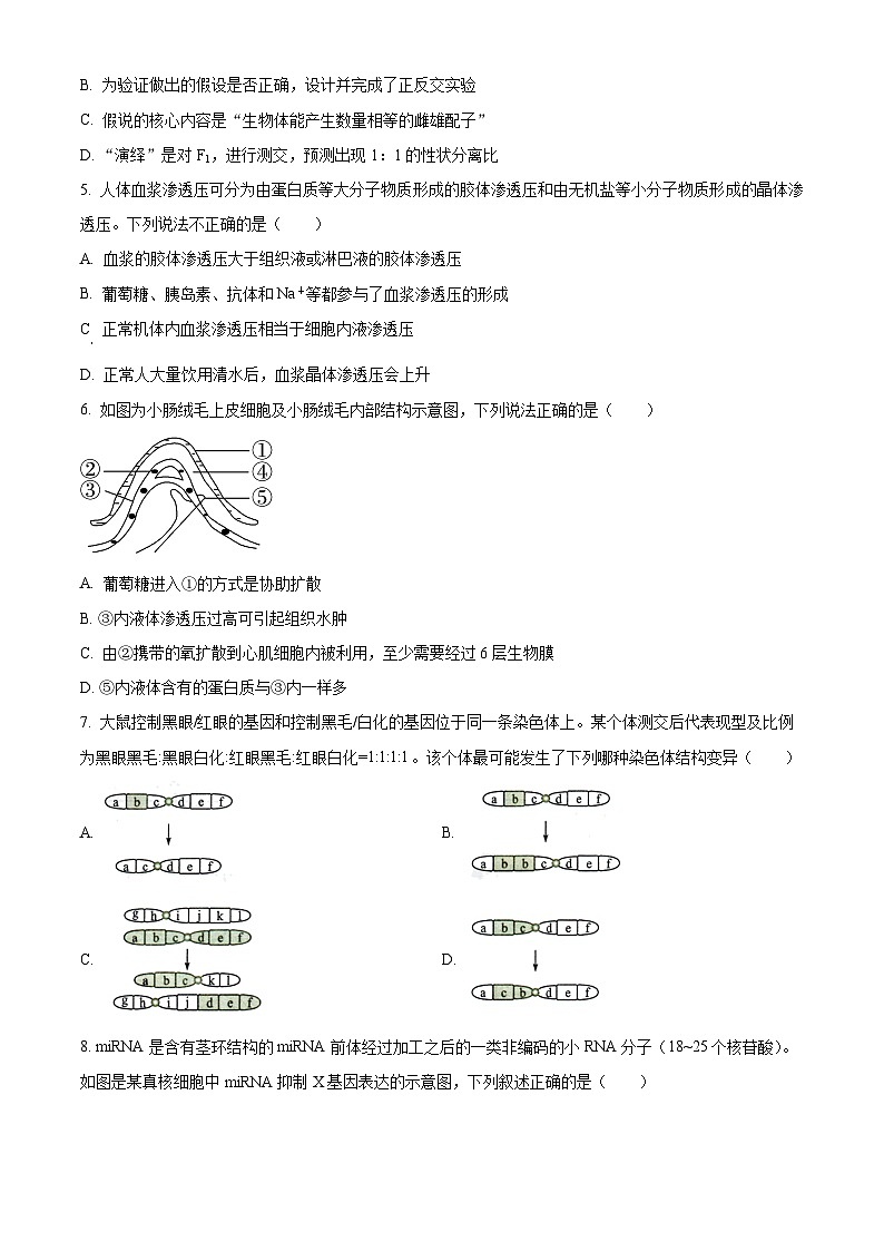 吉林省白山市抚松县抚松县第一中学2024-2025学年高二上学期开学生物试题（原卷版）02