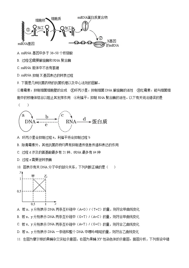 吉林省白山市抚松县抚松县第一中学2024-2025学年高二上学期开学生物试题（原卷版）03