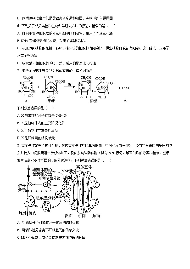 湖北省十堰市竹溪县第二高级中学2024-2025学年高三上学期摸底考试生物试卷（原卷版）第3页