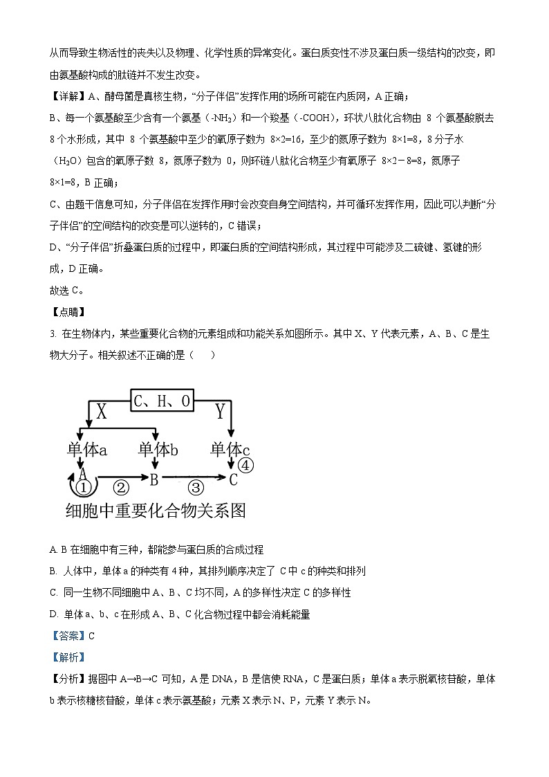 湖北省十堰市竹溪县第二高级中学2024-2025学年高三上学期摸底考试生物试卷（解析版）第2页