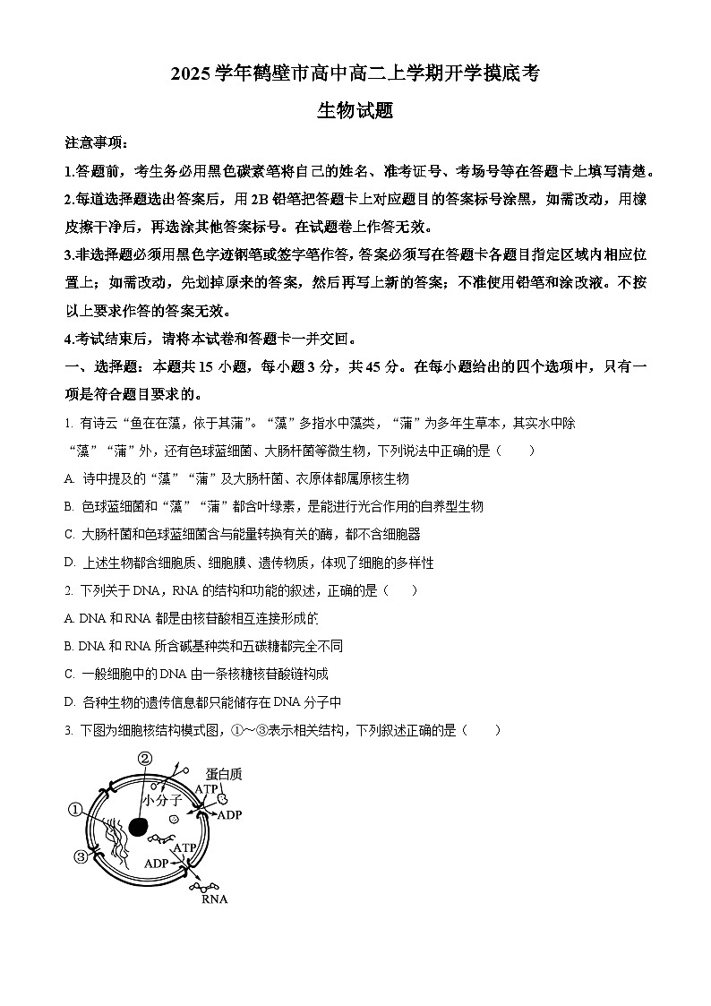 河南省鹤壁市淇滨区鹤壁市高中2024-2025学年高二上学期开学考试生物试题（原卷版）01