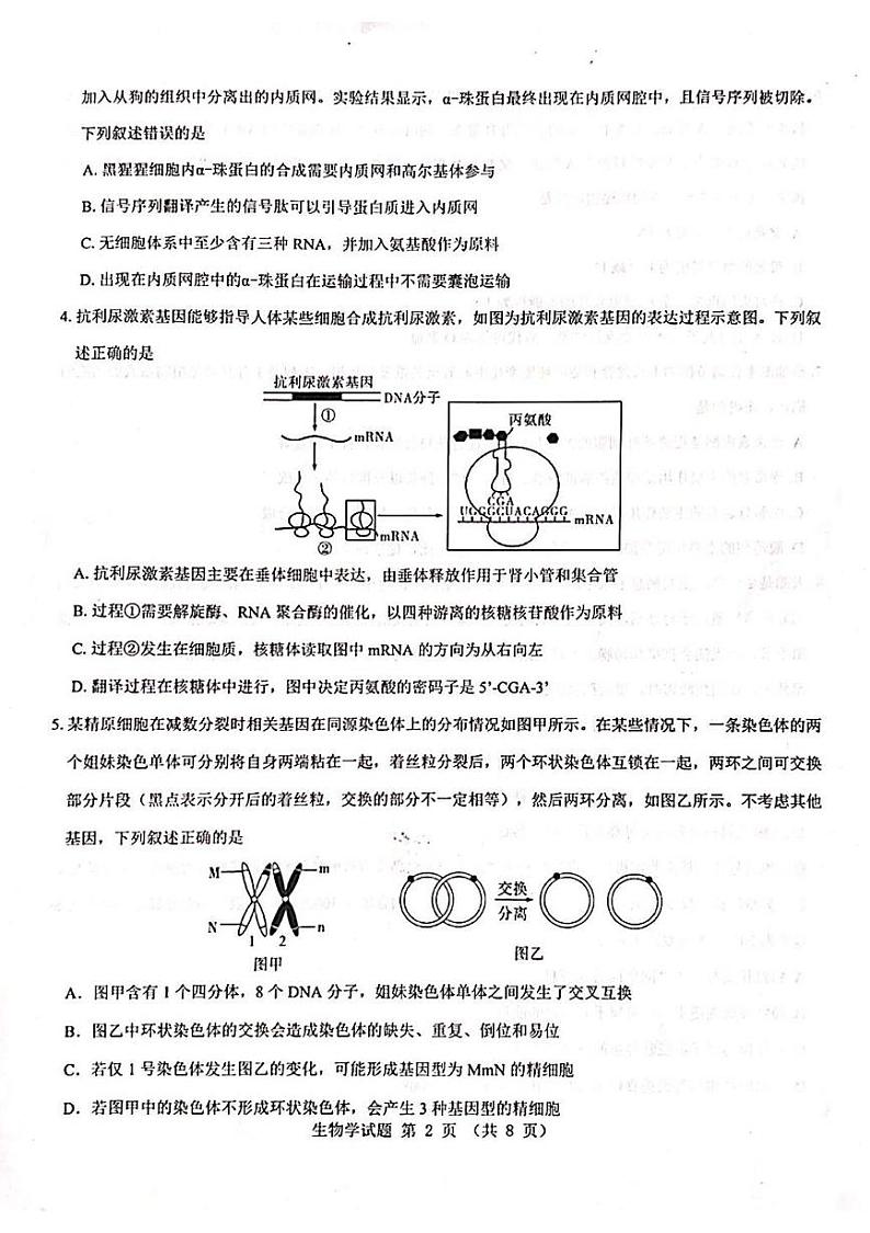 山西省吕梁市2024-2025学年高三上学期开学摸底考试生物试题第2页