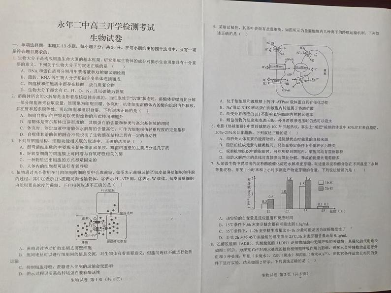 河北省邯郸市永年区第二中学2024-2025学年高三上学期开学检测生物试卷第1页