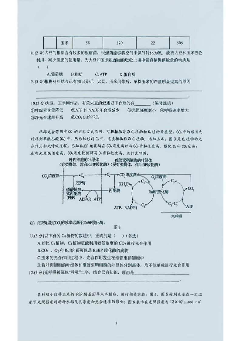 上海市华东师范大学第二附属中学2024-2025年高二上学期开学考试生物试题03