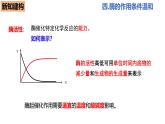 人教版（2019）高中生物必修一5.1《降低化学反应活化能的酶》（二）（第4课时）课件