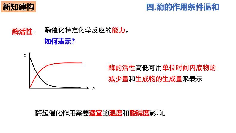 人教版（2019）高中生物必修一5.1《降低化学反应活化能的酶》（二）（第4课时）课件04
