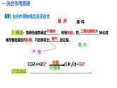 人教版（2019）高中生物必修一5.4《光合作用与能量转化》（二）（2课时）课件