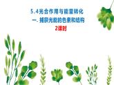 人教版（2019）高中生物必修一5.4《光合作用与能量转化》（一）（2课时）课件