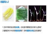 人教版（2019）高中生物必修一5.4《光合作用与能量转化》（一）（2课时）课件