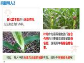 人教版（2019）高中生物必修一5.4《光合作用与能量转化》（一）（2课时）课件