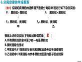 人教版（2019）高中生物必修二1.1《孟德尔的豌豆杂交实验》（一）（第3课时）课件