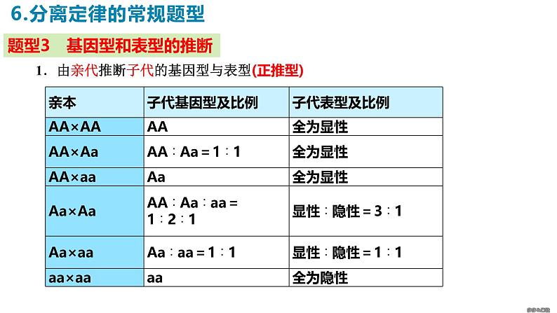 人教版（2019）高中生物必修二1.1《孟德尔的豌豆杂交实验》（一）（第3课时）课件08