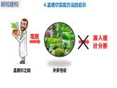 人教版（2019）高中生物必修二1.2《孟德尔的豌豆杂交实验》（二）（第2课时）课件