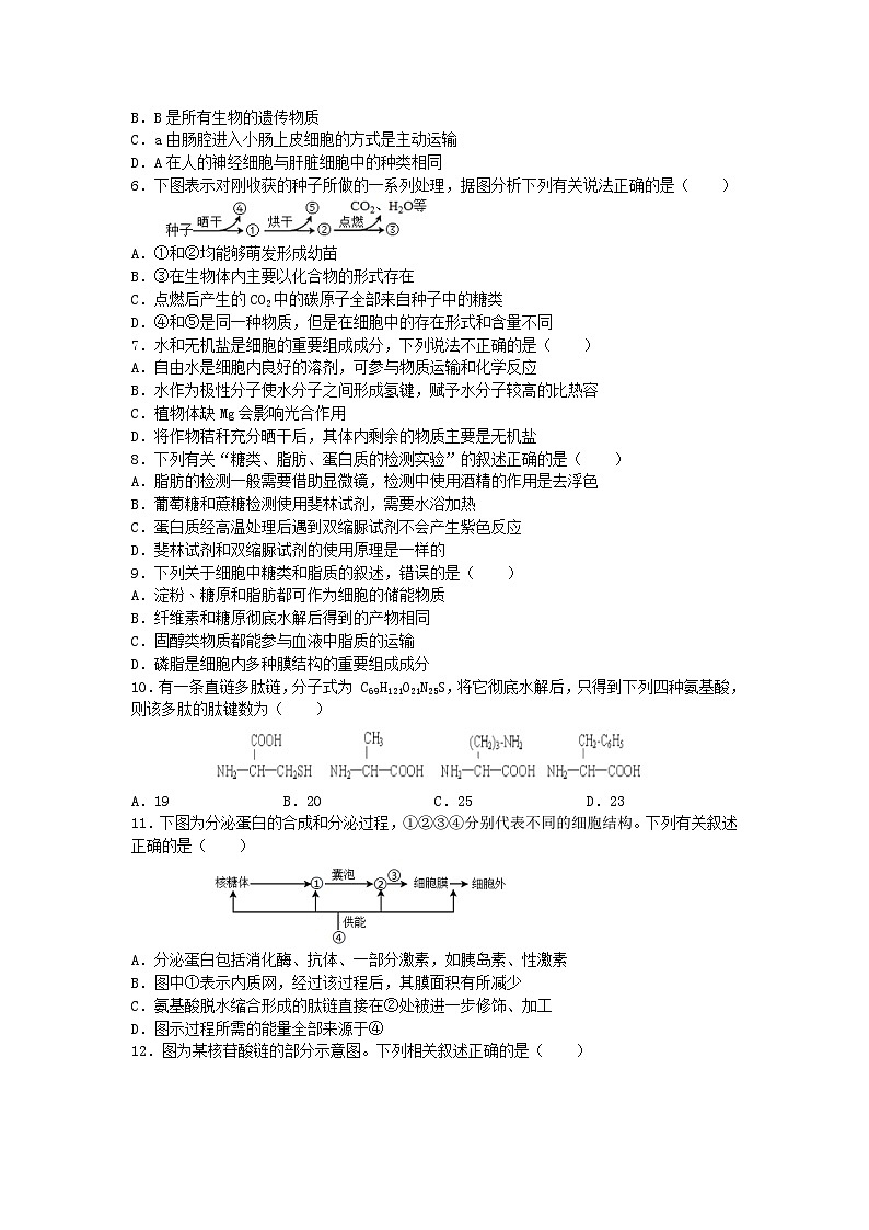 河北省石家庄四校2022_2023高一生物上学期期末联考试卷第2页