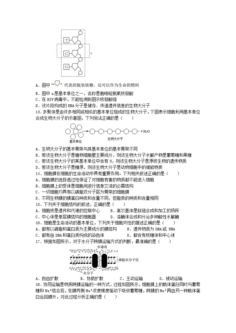 河北省石家庄四校2022_2023高一生物上学期期末联考试卷第3页