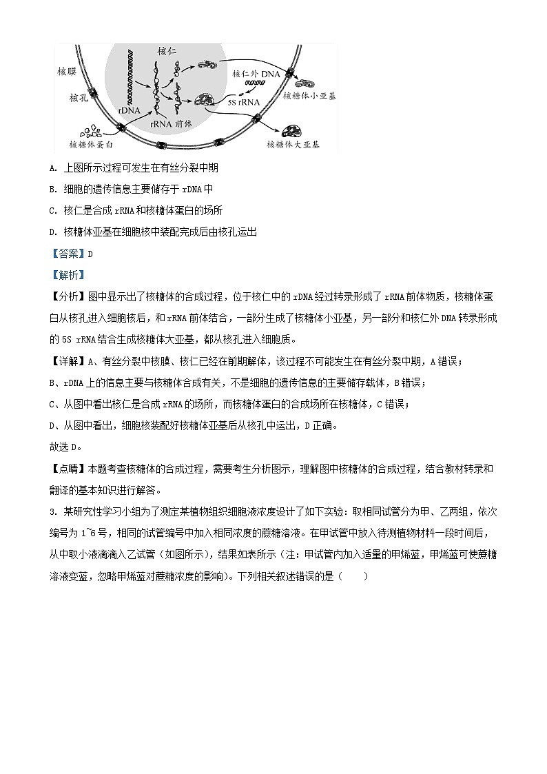 重庆市2023_2024学年高三生物上学期12月月考试题含解析第2页