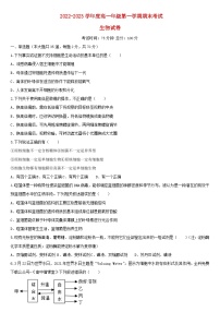 安徽省淮北市2022_2023学年高一生物上学期期末考试试卷