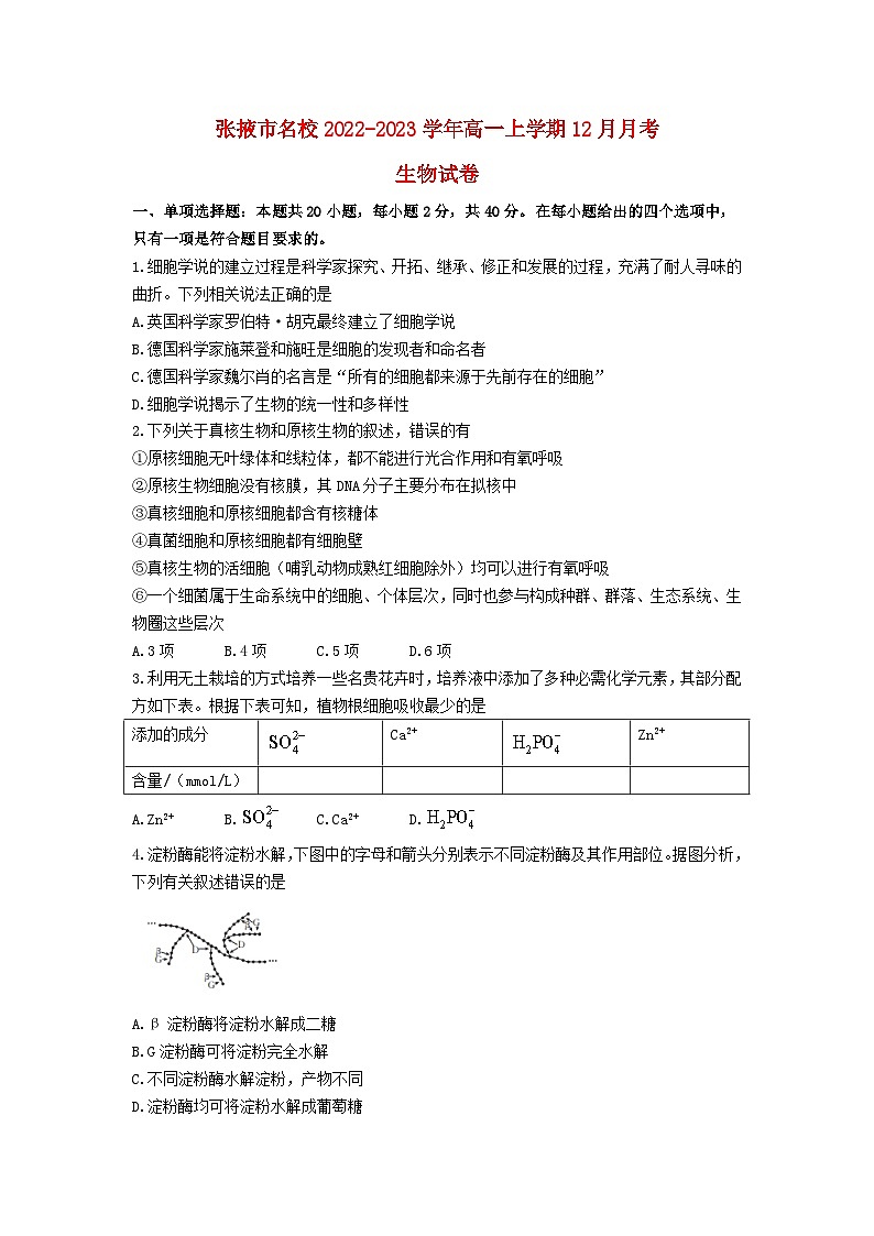 甘肃省张掖市2022_2023学年高一生物上学期12月月考试卷01