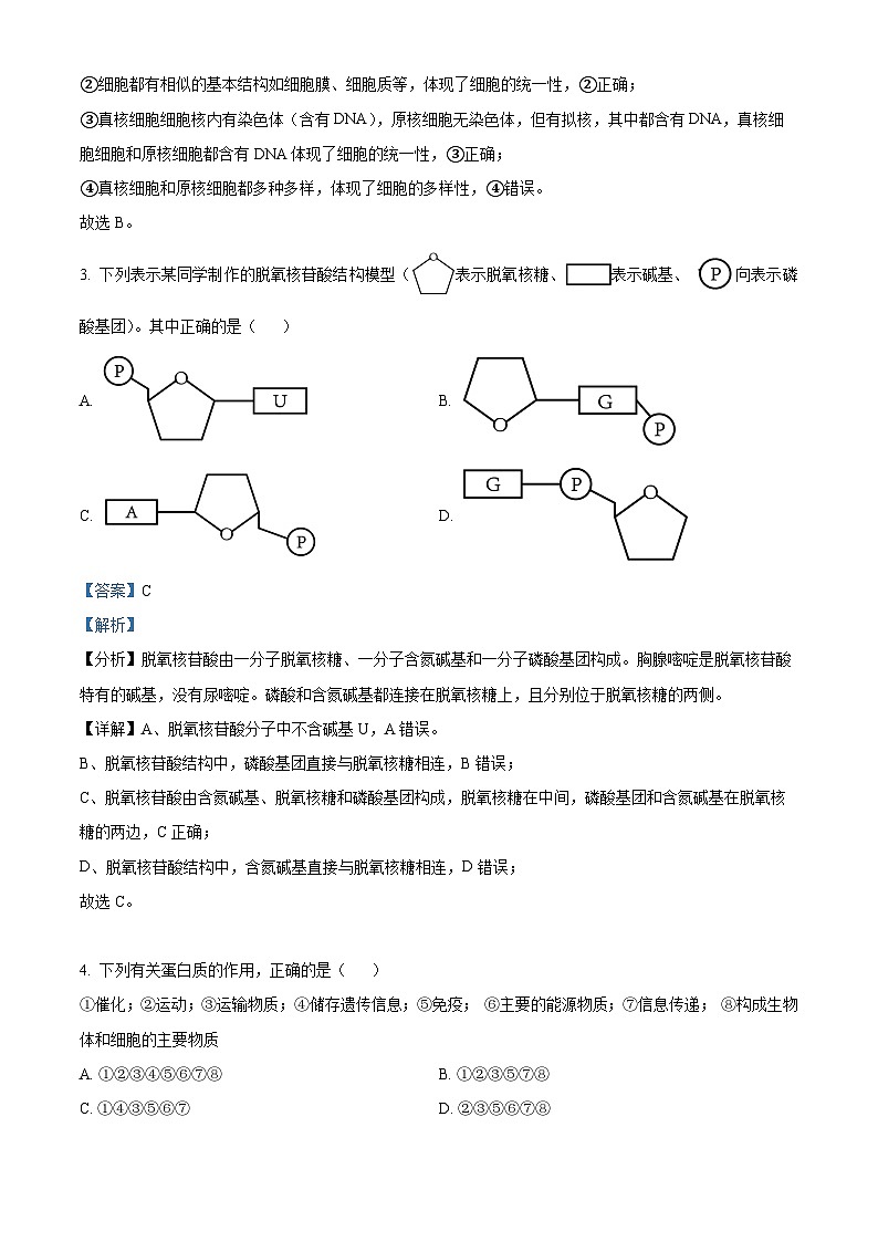 陕西省西安市临潼中学2023-2024学年度高一下学期期中考试生物试题（原卷版+解析版）02