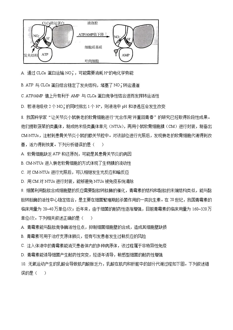 湖南省长沙市第十五中学2024-2025学年高三上学期暑假入学考试生物试题（原卷版+解析版）03