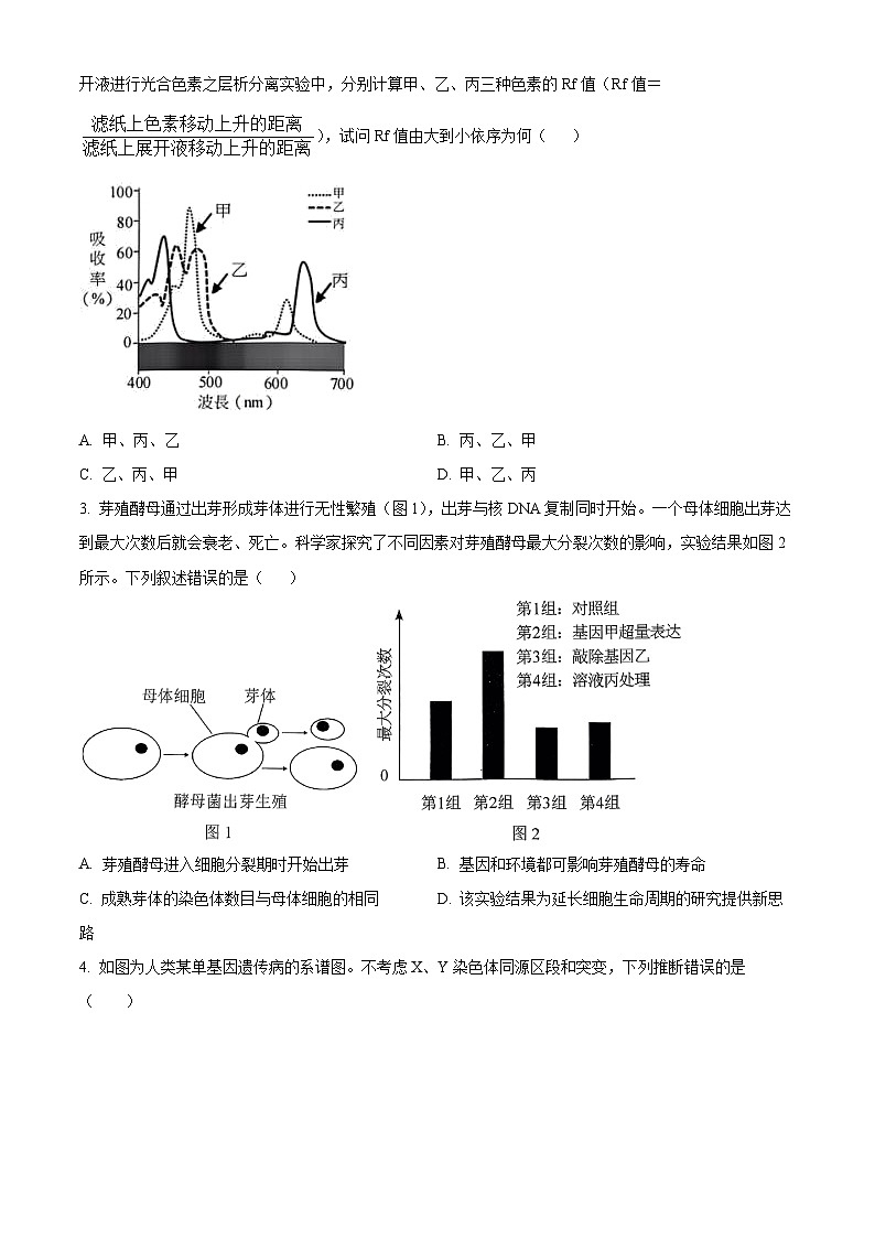 湖南省邵阳市第二中学2024-2025学年高二上学期入学考试生物试题（原卷版+解析版）02