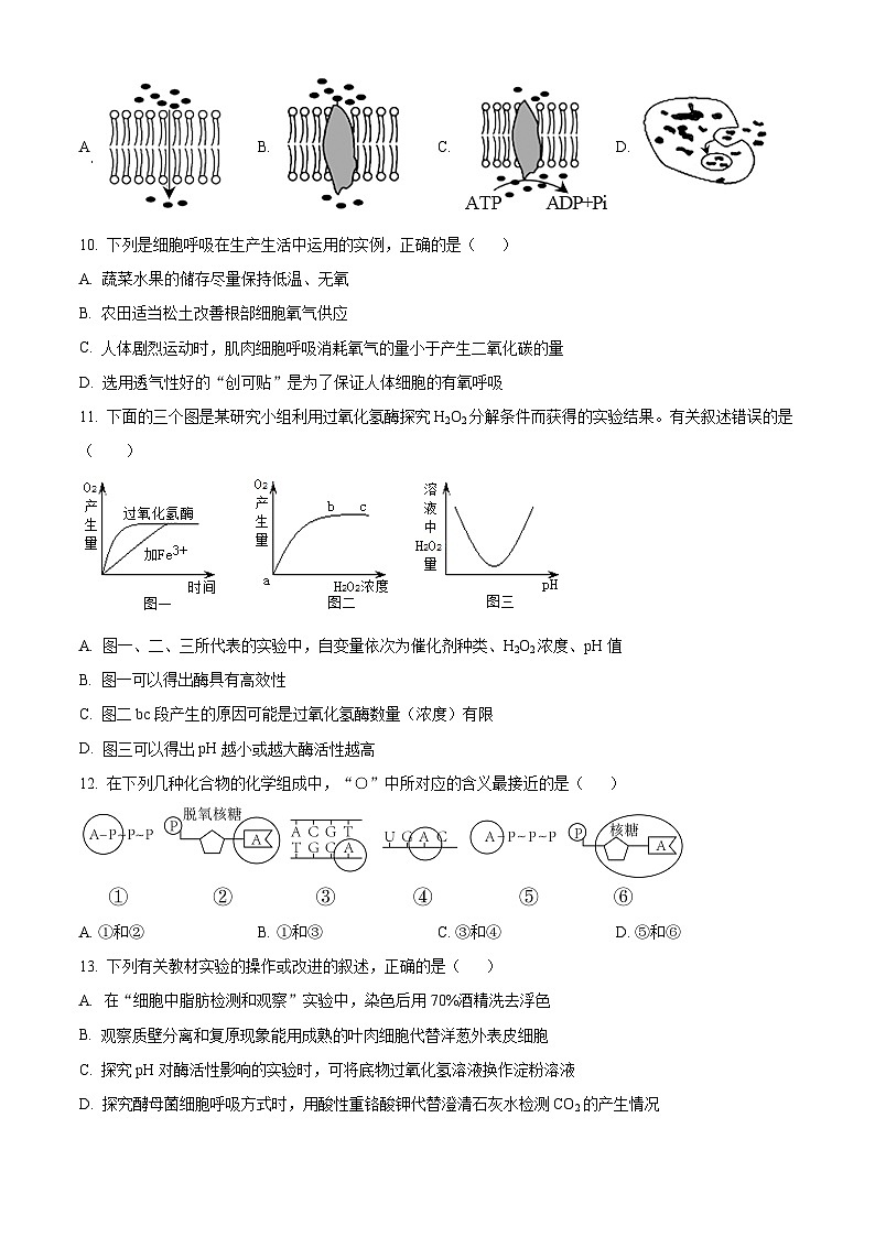陕西省西安市临潼中学2023-2024学年度高一下学期期中考试生物试题（原卷版）03