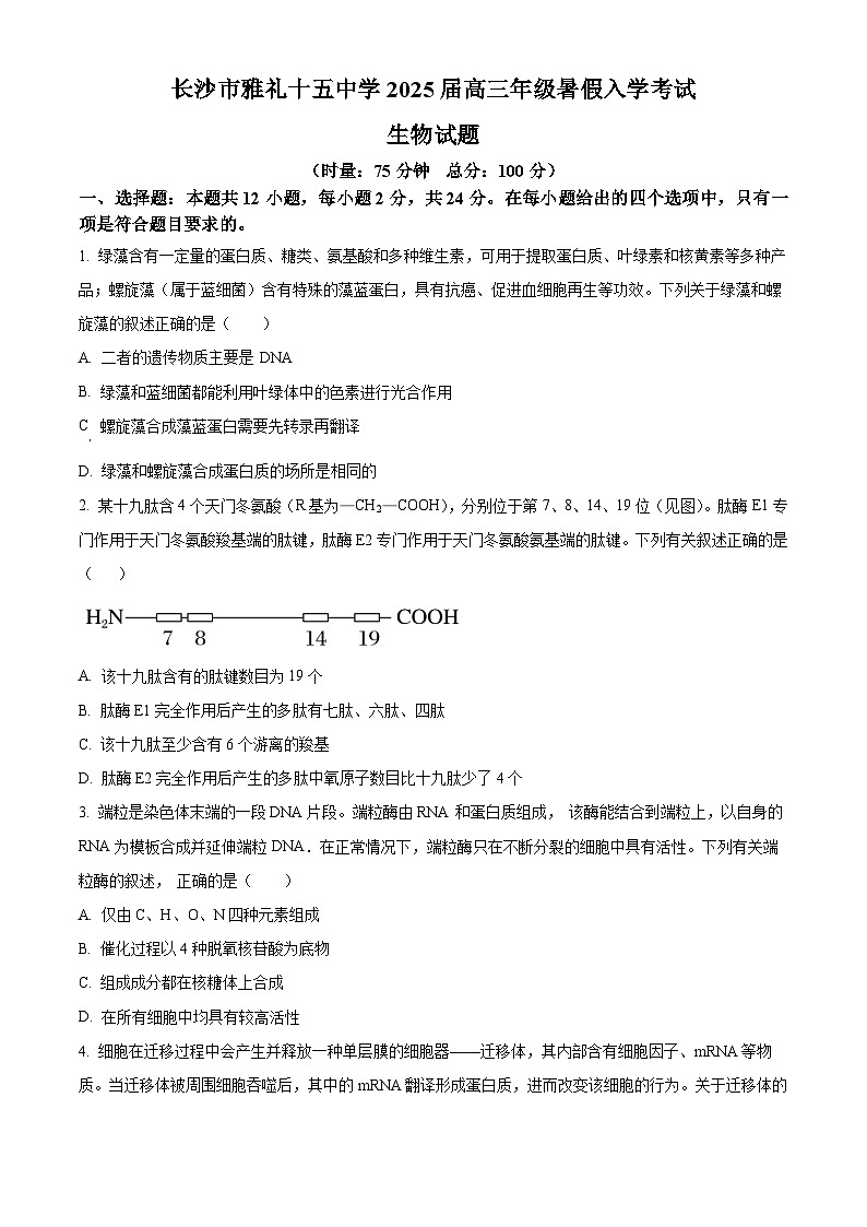 湖南省长沙市第十五中学2024-2025学年高三上学期暑假入学考试生物试题（原卷版）01