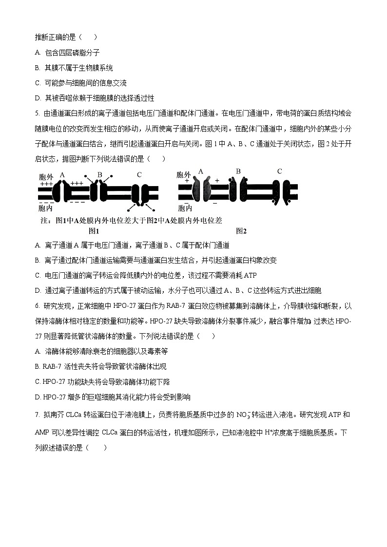 湖南省长沙市第十五中学2024-2025学年高三上学期暑假入学考试生物试题（原卷版）02
