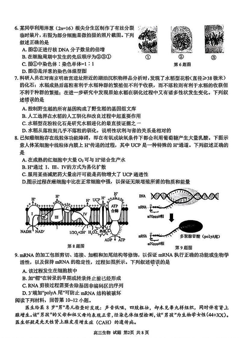 浙江省七彩阳光新高考研究联盟2024-2025学年高三上学期返校联考生物试题02