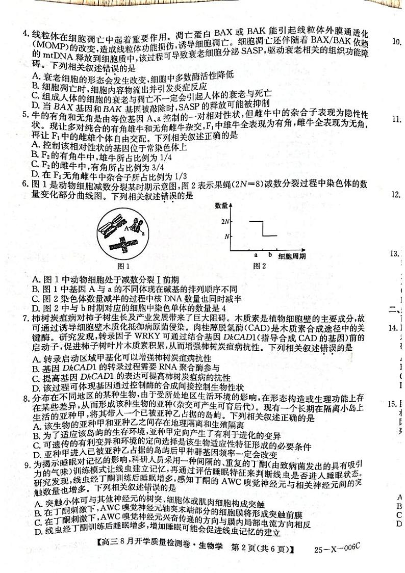 山西省孝义市第三中学校2024-2025学年高三上学期8月开学质量检测生物试题02
