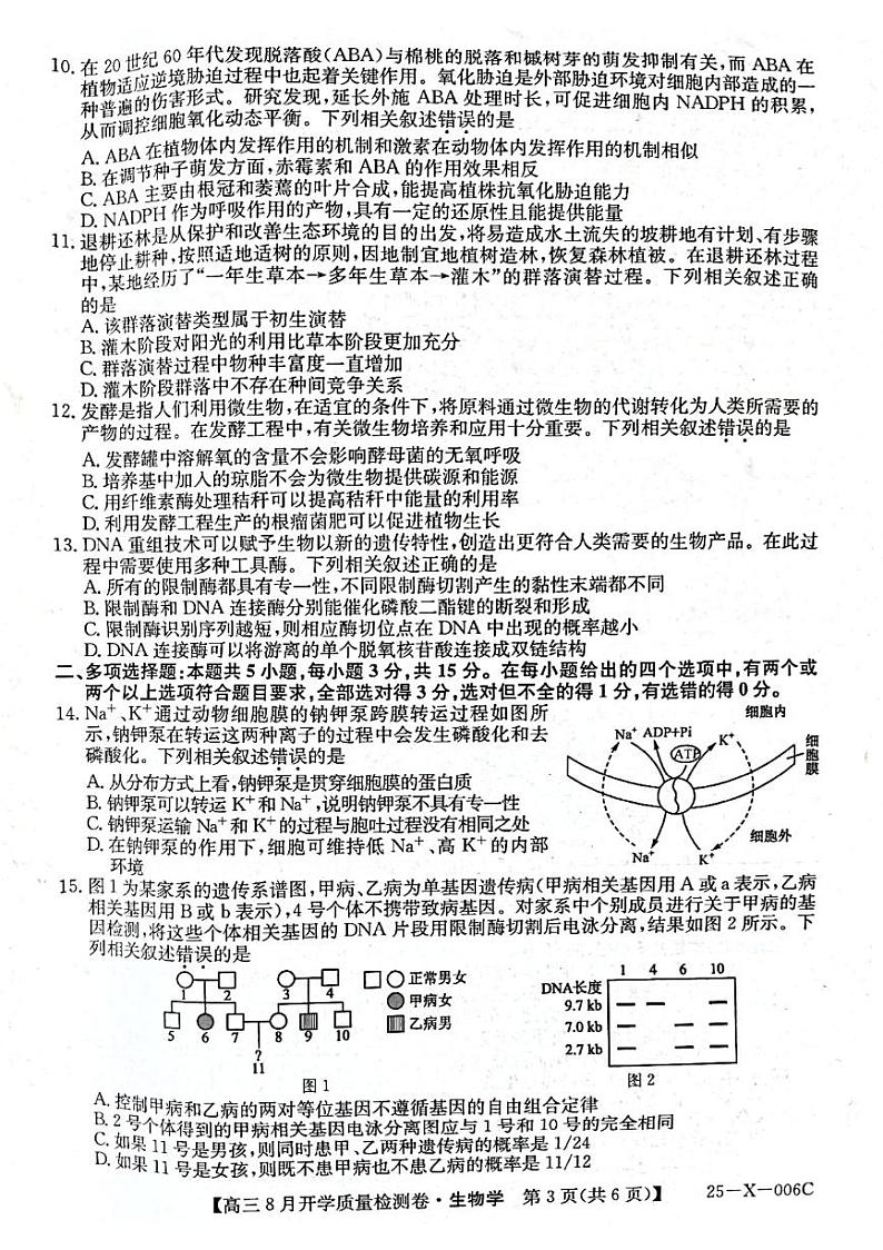 山西省孝义市第三中学校2024-2025学年高三上学期8月开学质量检测生物试题03