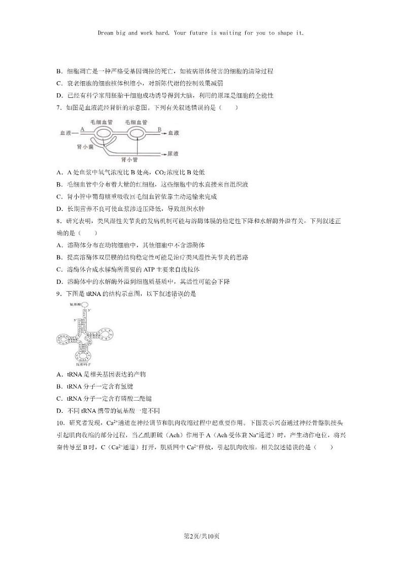 2024北京一零一中高二上学期开学考生物试卷第2页