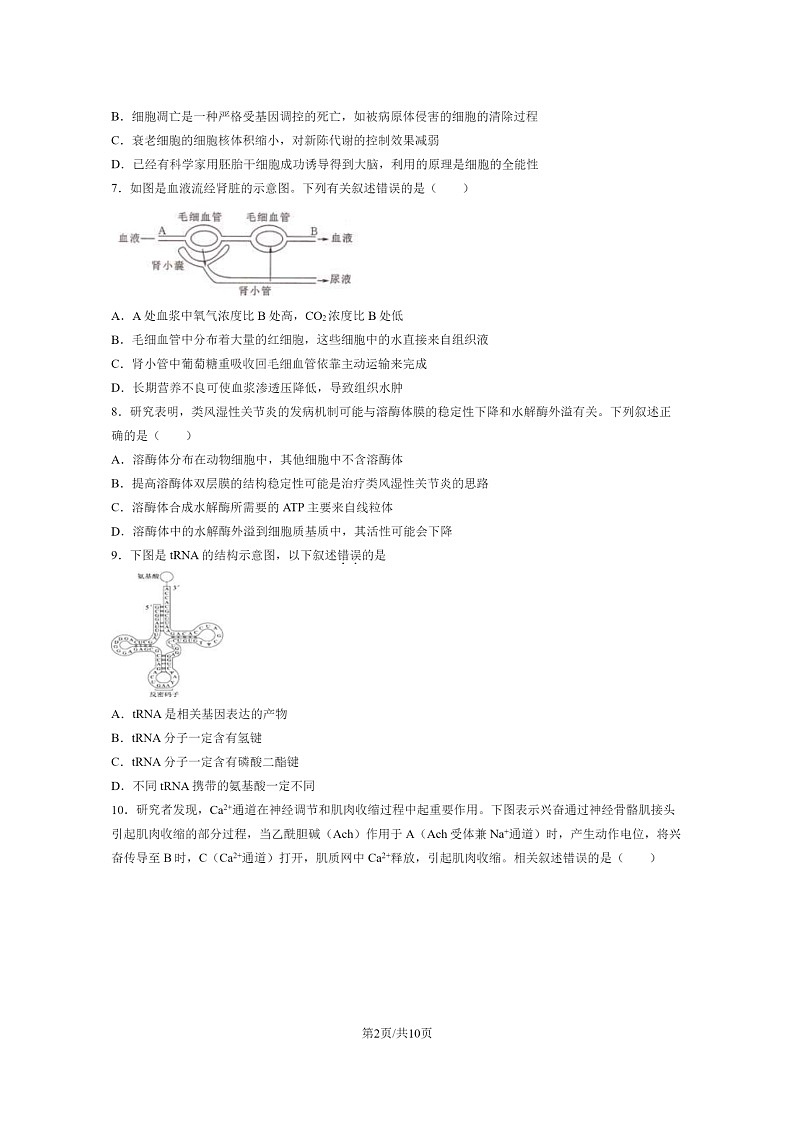 2024北京一零一中高二上学期开学考生物试卷第2页