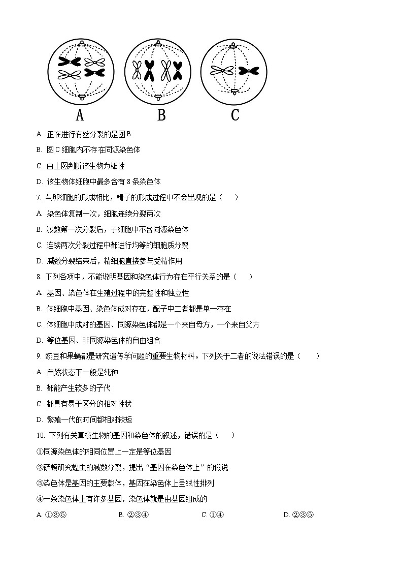 云南省昆明市寻甸民族中学2024-2025学年高二上学期开学检测生物试题（原卷版+解析版）02