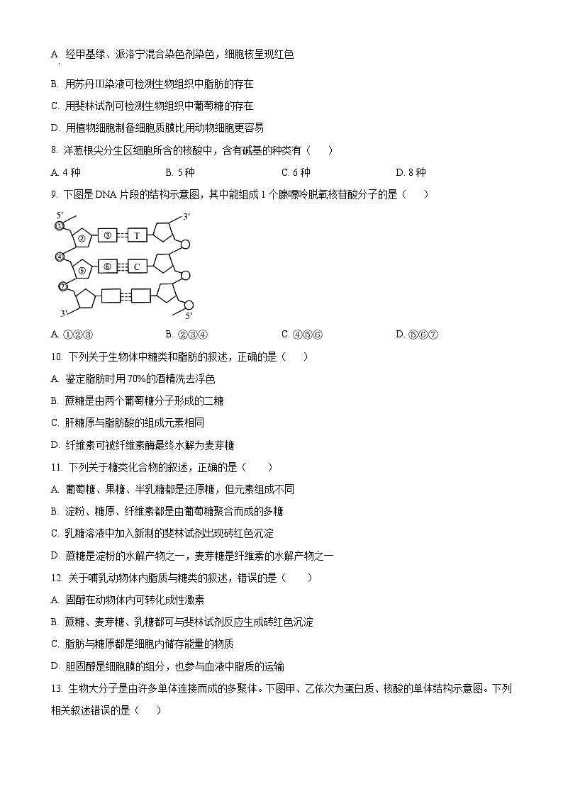 江苏省仪征市第二中学2023-2024学年高一上学期第一次月考生物试题（原卷版+解析版）02