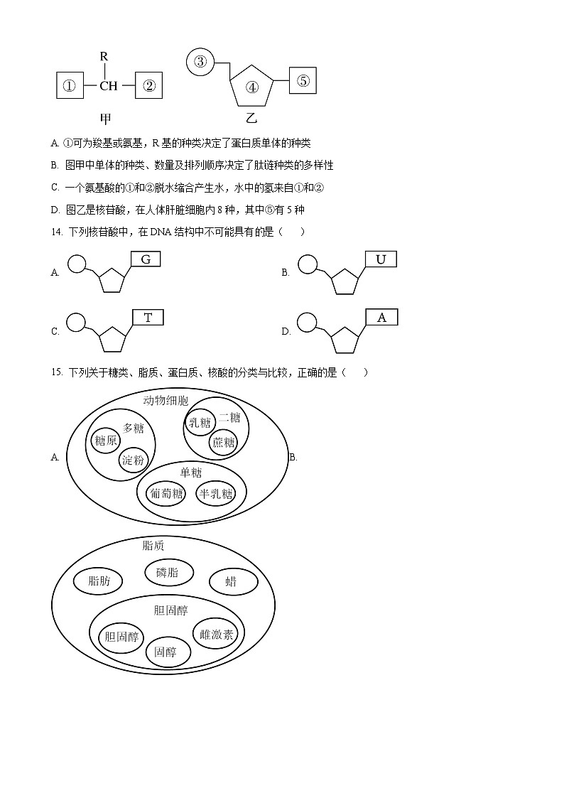 江苏省仪征市第二中学2023-2024学年高一上学期第一次月考生物试题（原卷版+解析版）03