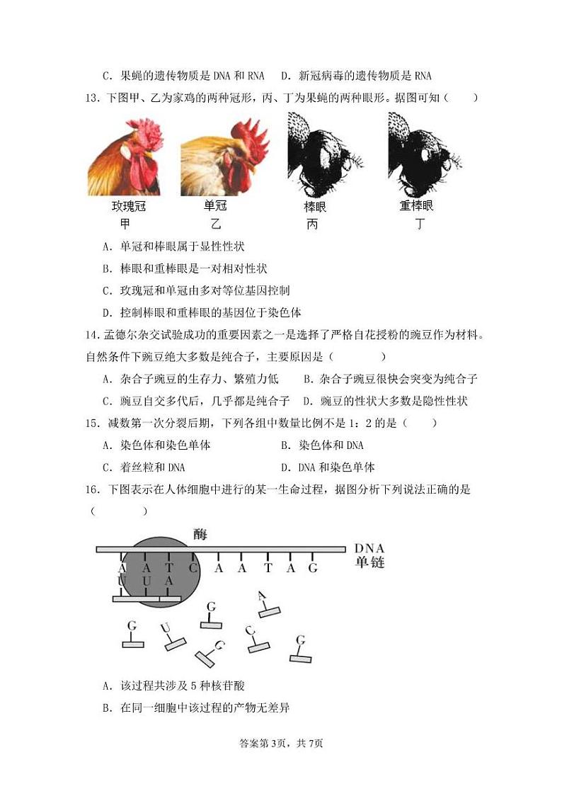 甘肃省兰州市2023-2024学年高一下学期期末考试生物试题03