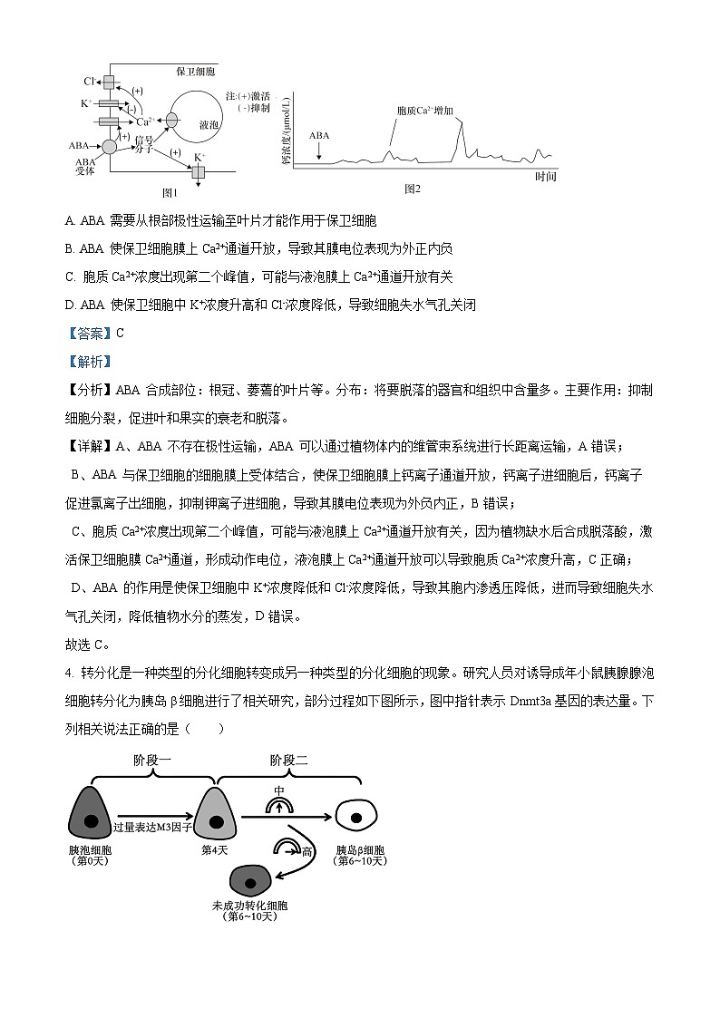 2024届广东省深圳中学高三下学期高考适应性测试生物试题（解析版）第3页