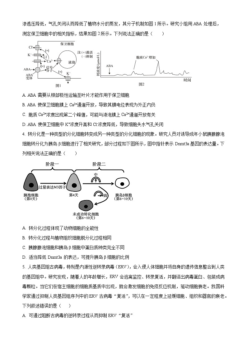2024届广东省深圳中学高三下学期高考适应性测试生物试题（原卷版）第2页