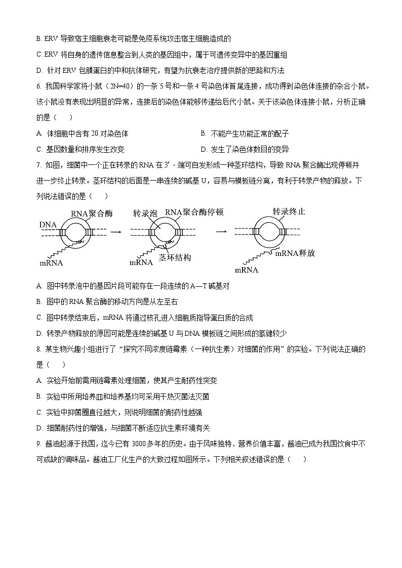 2024届广东省深圳中学高三下学期高考适应性测试生物试题（原卷版）第3页