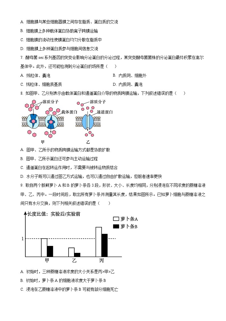 新疆石河子第一中学2024-2025学年高三上学期开学考试生物试题（原卷版）第2页