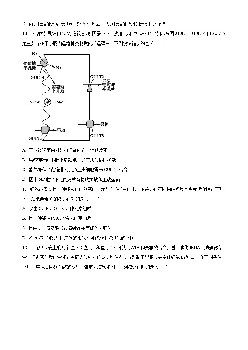 新疆石河子第一中学2024-2025学年高三上学期开学考试生物试题（原卷版）第3页