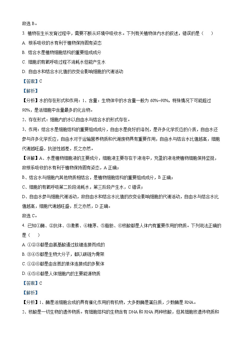 新疆石河子第一中学2024-2025学年高三上学期开学考试生物试题（解析版）02