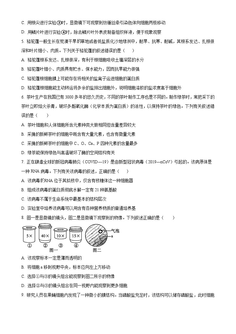 四川遂宁中学高新校区2024-2025学年高三上学期8月月考生物试题（原卷版）02