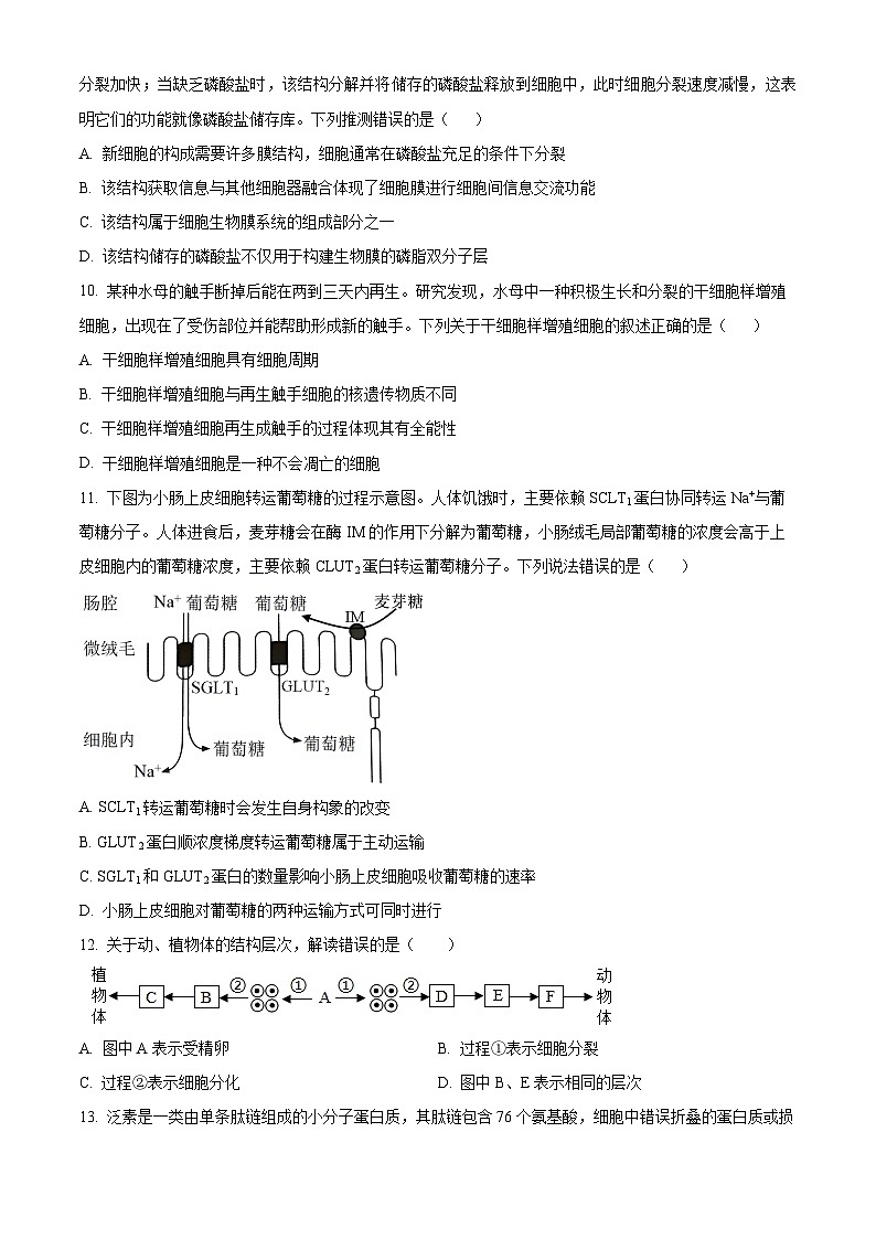 四川遂宁中学高新校区2024-2025学年高三上学期8月月考生物试题（原卷版）03