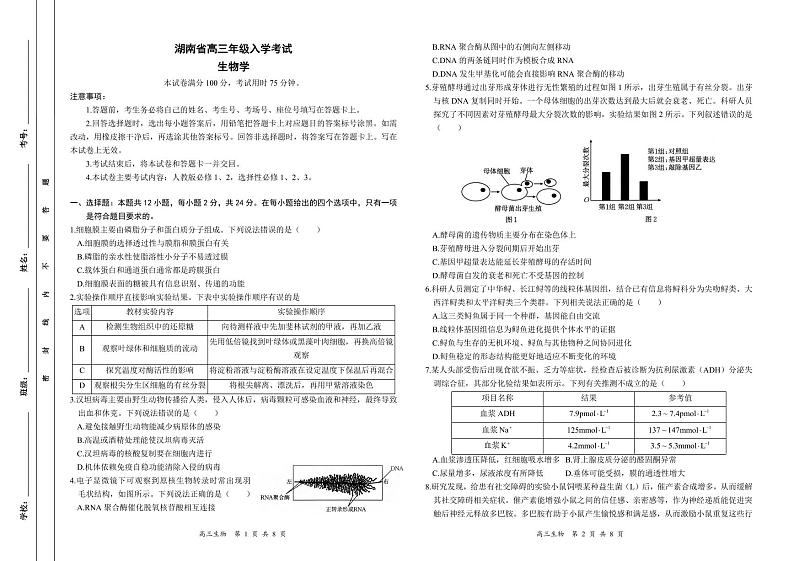 生物丨金太阳湖南省2025届高三8月入学考试（下标HUN）生物试卷及答案第1页