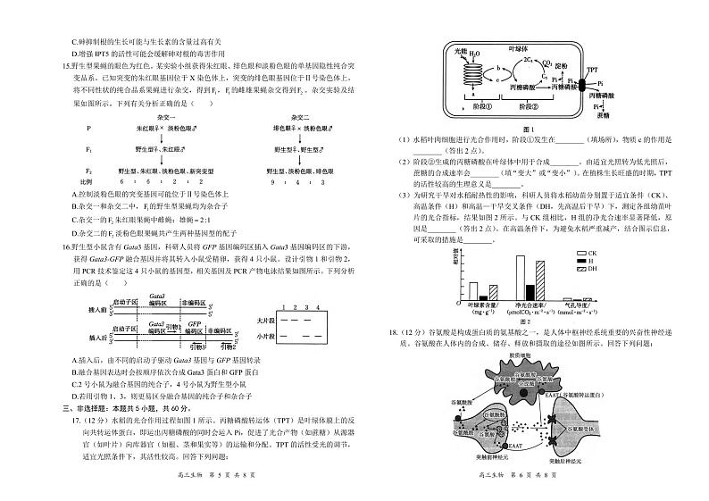 生物丨金太阳湖南省2025届高三8月入学考试（下标HUN）生物试卷及答案第3页