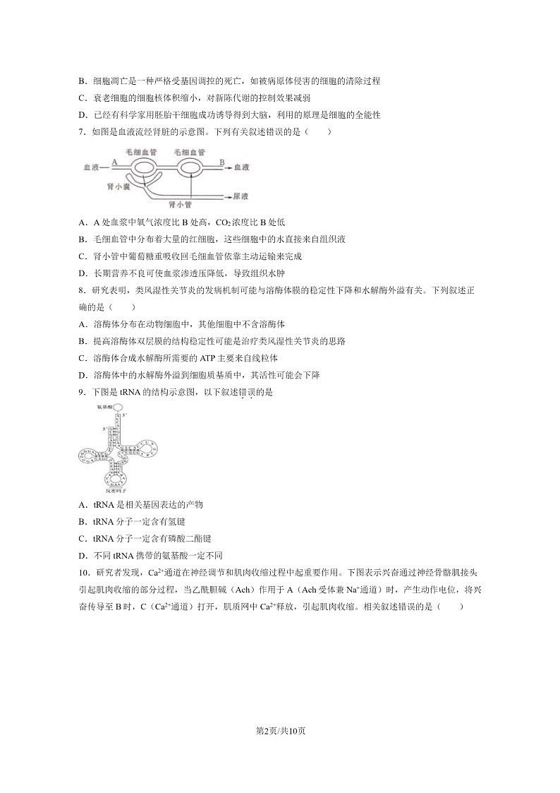 [生物]2024北京一零一中高二上学期开学考生物试卷第2页