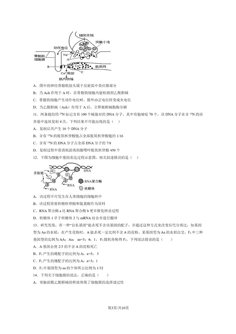 [生物]2024北京一零一中高二上学期开学考生物试卷第3页