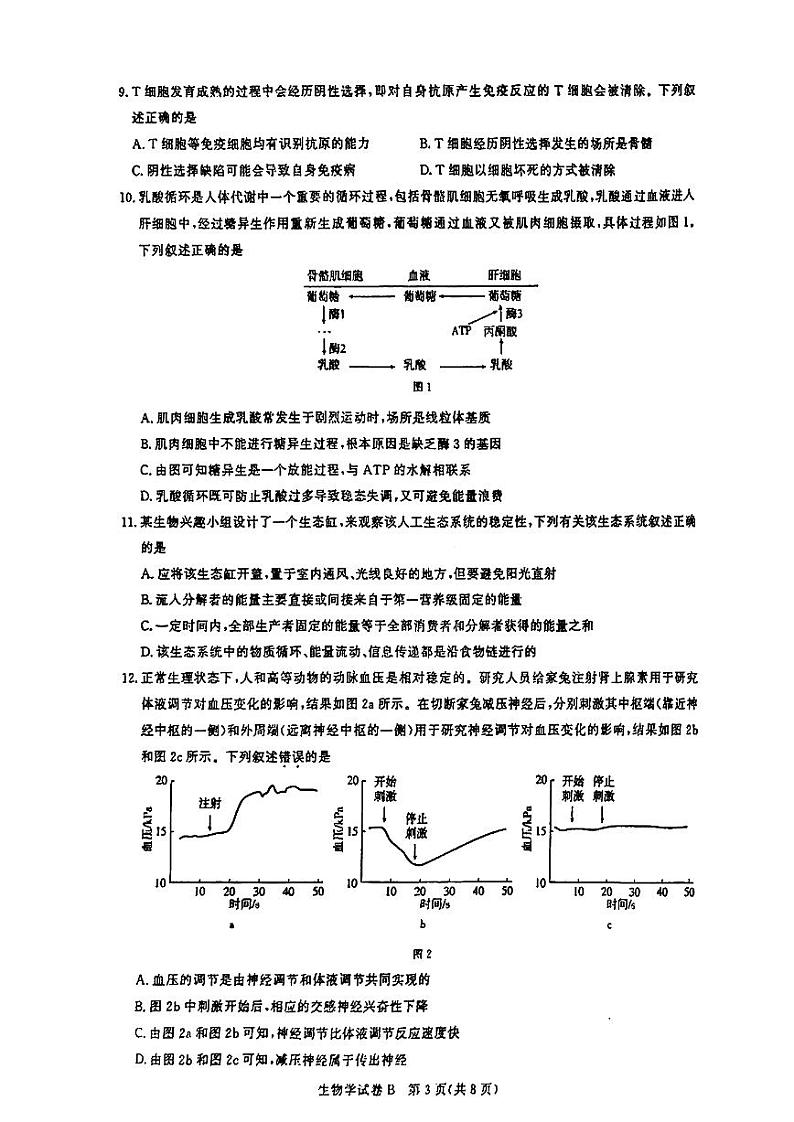 广东省广州市2025届高三上学期8月摸底考试生物（B卷）试题（PDF版附答案）第3页